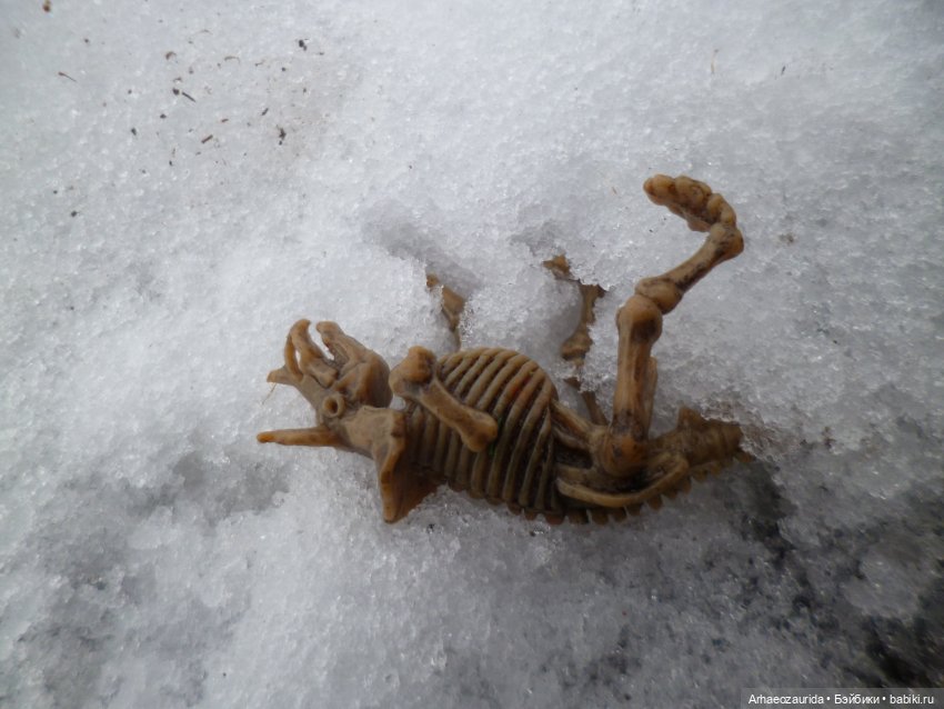 Зима: время охоты — Интересные игрушки и фигурки (разное): редкие