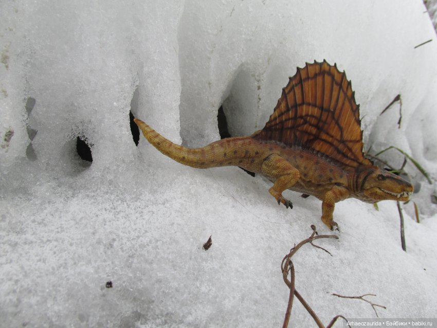 Ящеры у Реки: январские сны (фото 3)