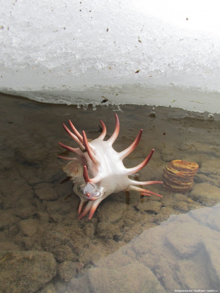 Ящеры у Реки: январские сны