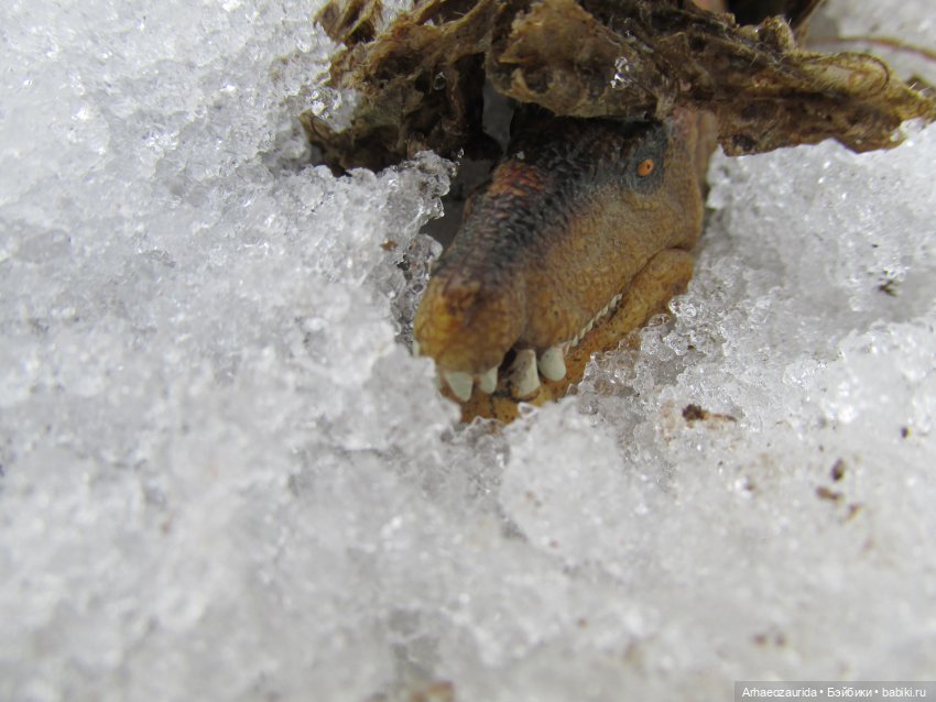 Ящеры у Реки: январские сны