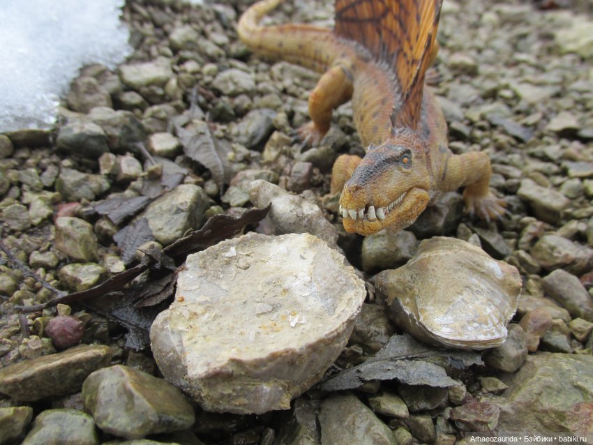 Ящеры у Реки: январские сны (фото 7)