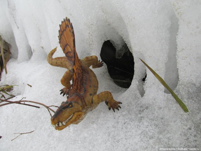 Ящеры у Реки: январские сны (фото 2)