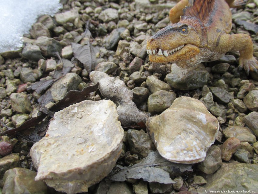 Ящеры у Реки: январские сны (фото 6)