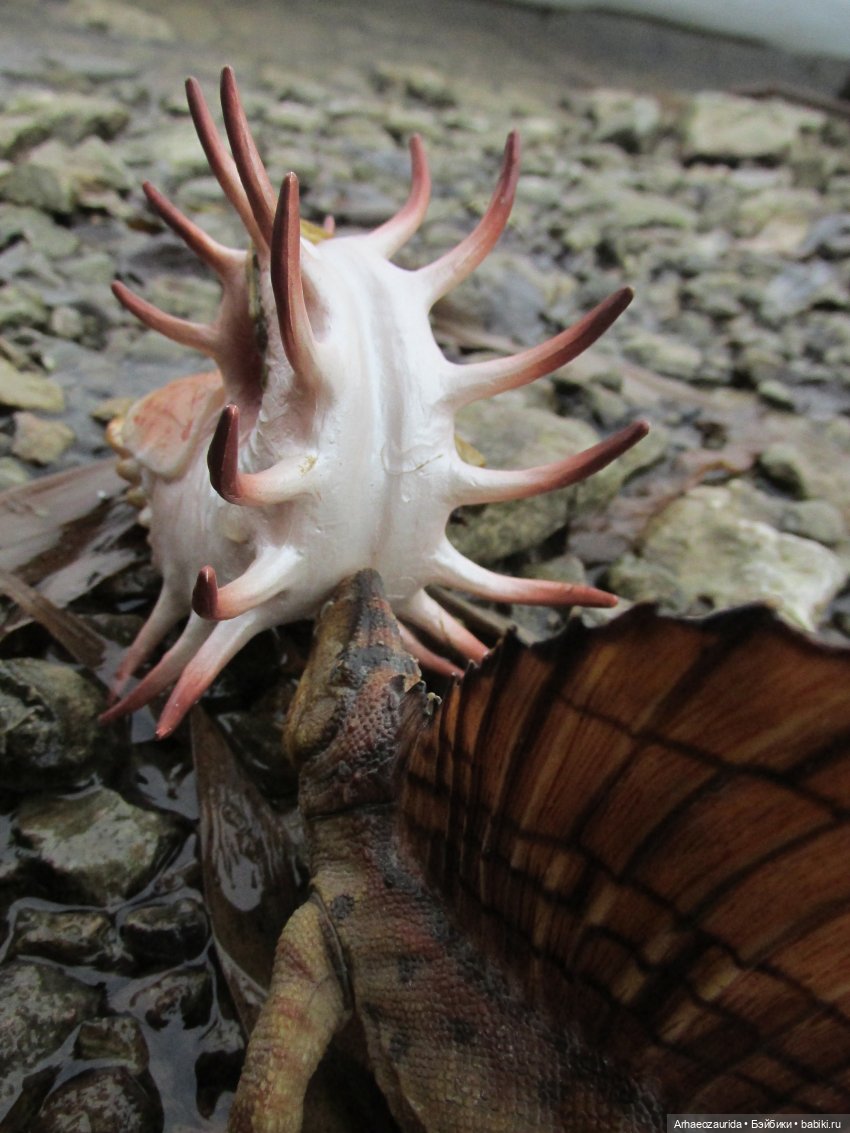 Ящеры у Реки: январские сны