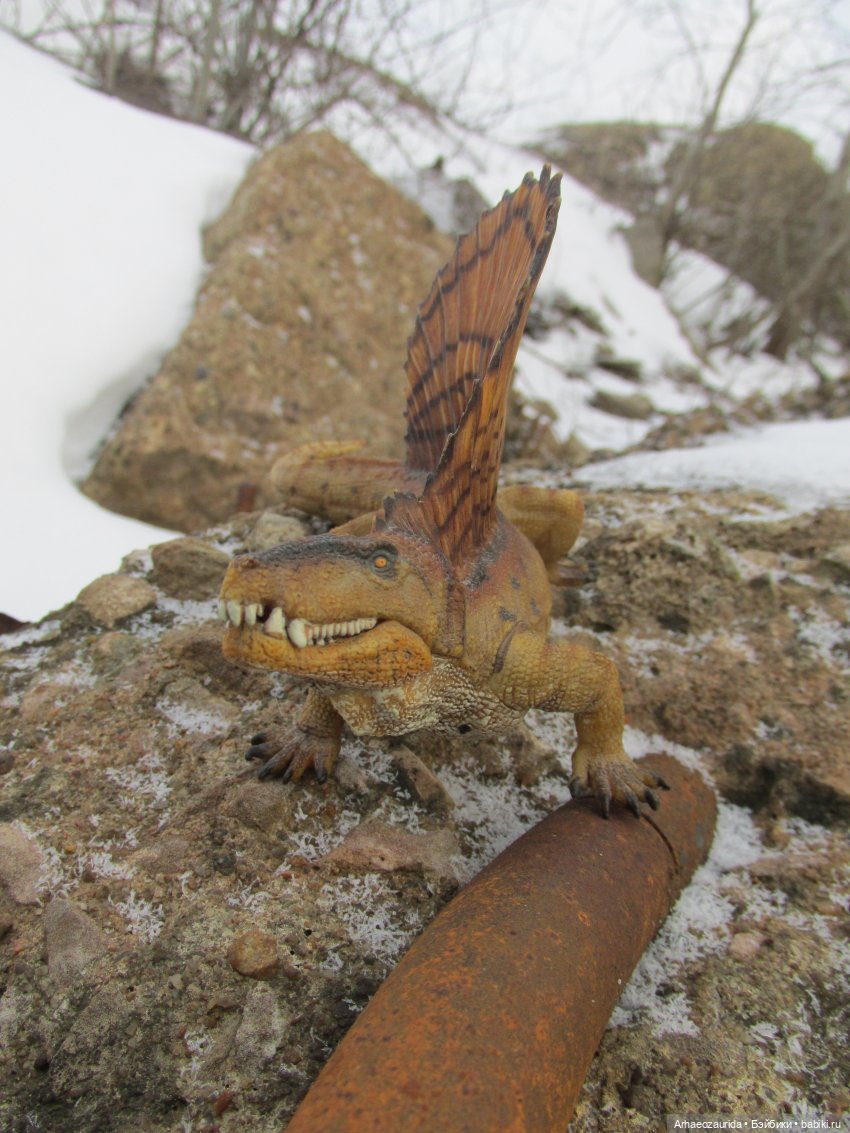 Ящеры у Реки: январские сны (фото 4)