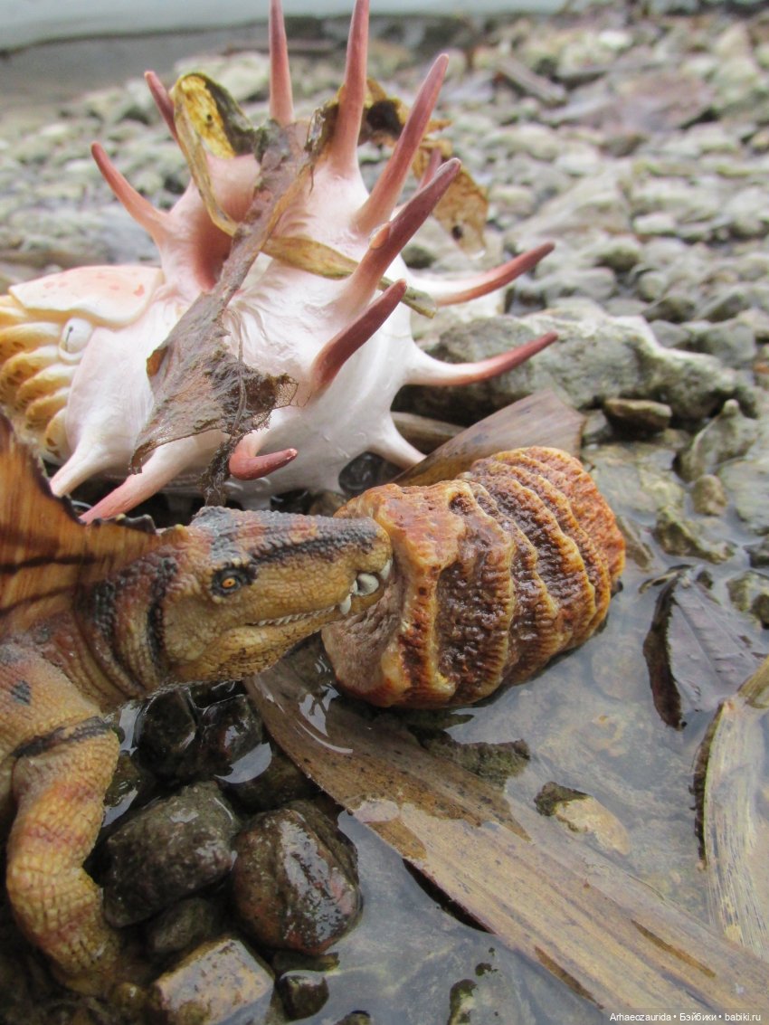 Ящеры у Реки: январские сны