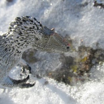 Зимний ящер