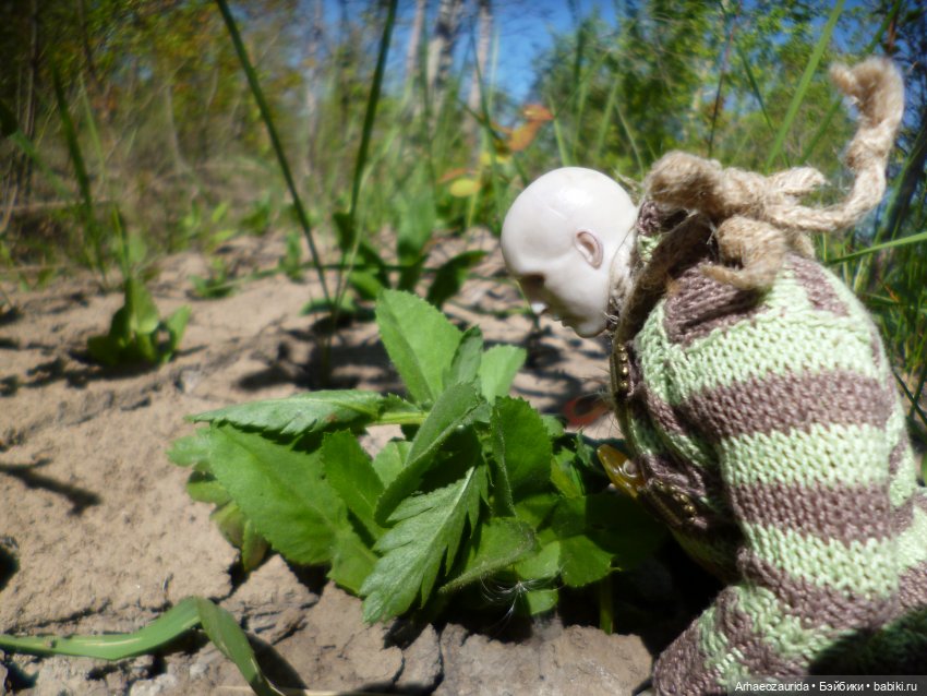 Кейнес и Холмы: ловушки Хорта | Бэйбики Кейнес и Холмы: ловушки Хорта (фото 3)
