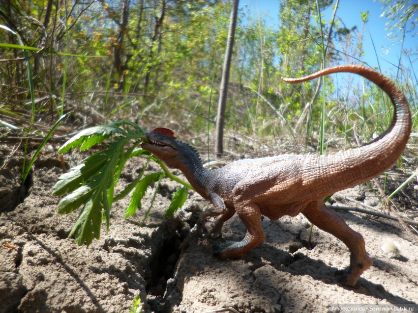 Кейнес и Холмы: ловушки Хорта | Бэйбики Кейнес и Холмы: ловушки Хорта