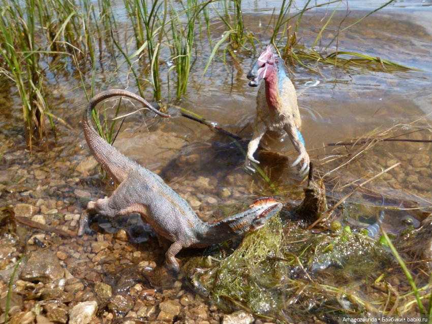 Ящеры у реки: летняя рыбалка