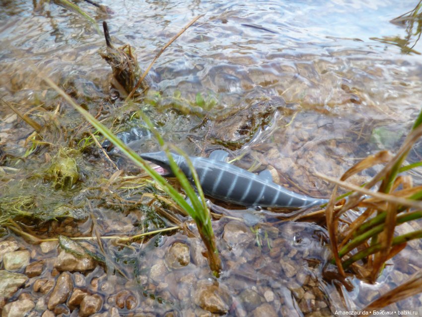 Ящеры у реки: летняя рыбалка (фото 4)