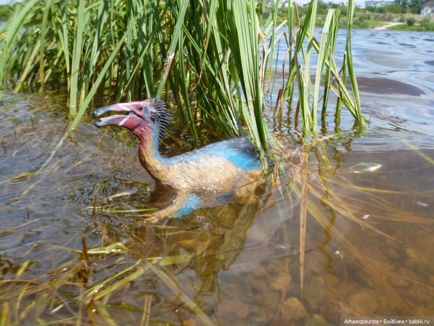 Ящеры у реки: летняя рыбалка (фото 10)