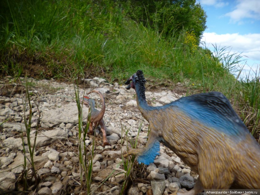 Ящеры у реки: летняя рыбалка