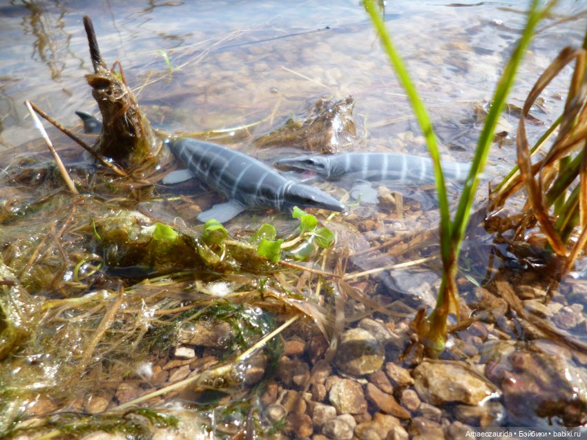 Ящеры у реки: летняя рыбалка