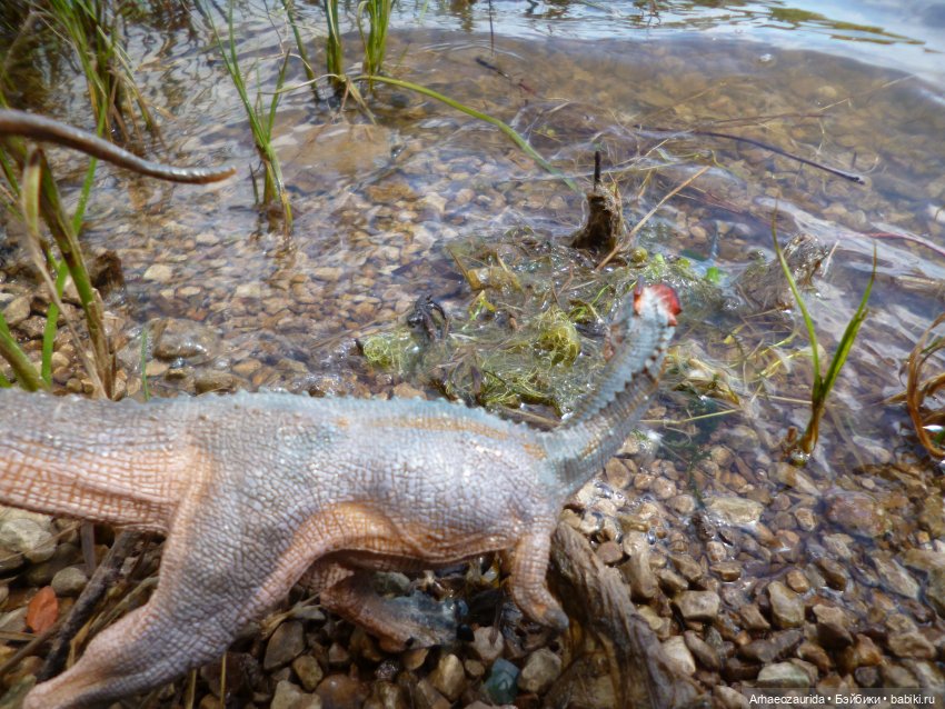 Ящеры у реки: летняя рыбалка (фото 8)