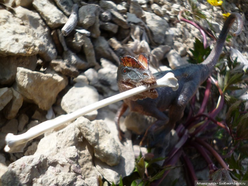 Ящеры у реки: летняя рыбалка (фото 7)