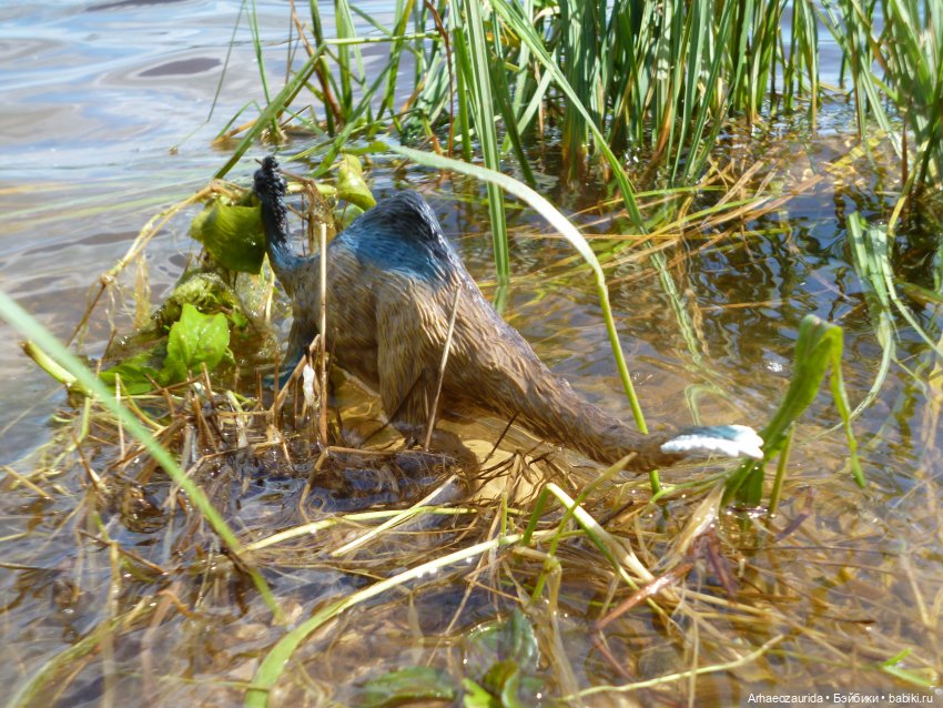 Ящеры у реки: летняя рыбалка (фото 5)