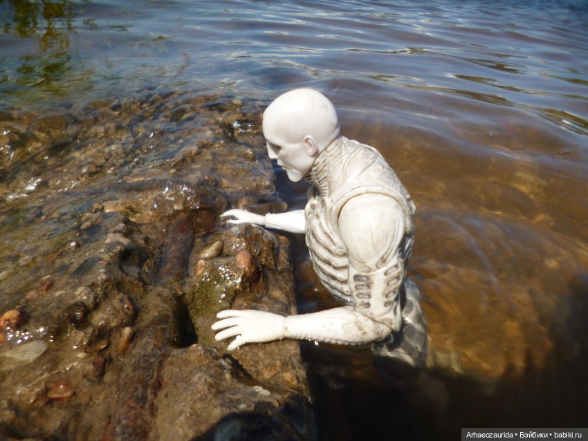 Ящеры у реки: танцы в воде (фото 8)