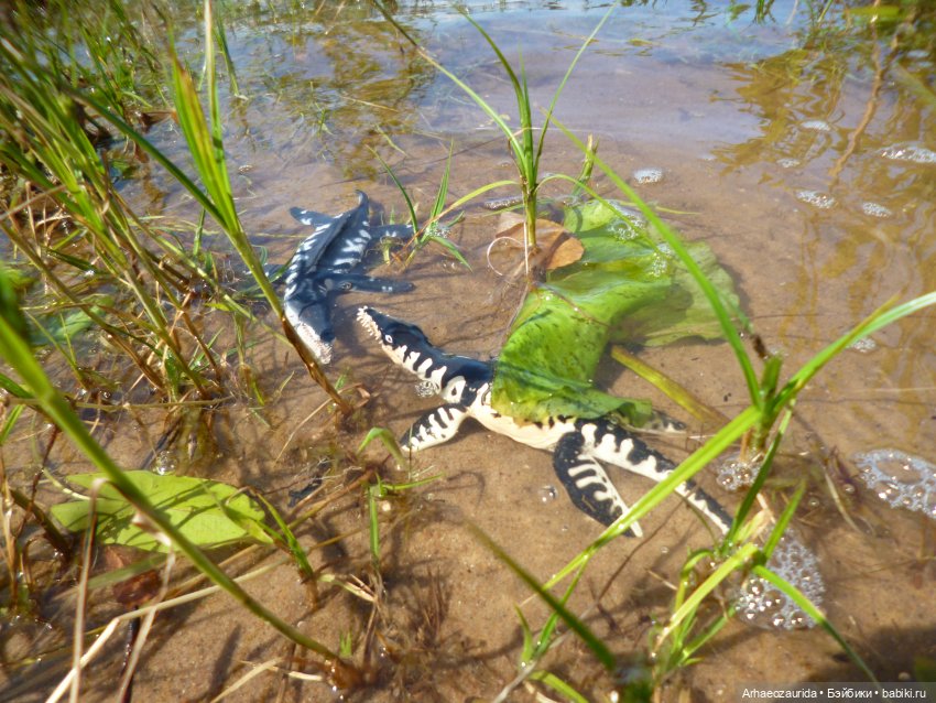 Ящеры у реки: танцы в воде (фото 5)