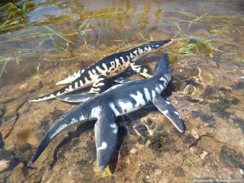 Ящеры у реки: танцы в воде (фото 7)