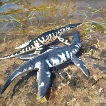 Ящеры у реки: танцы в воде