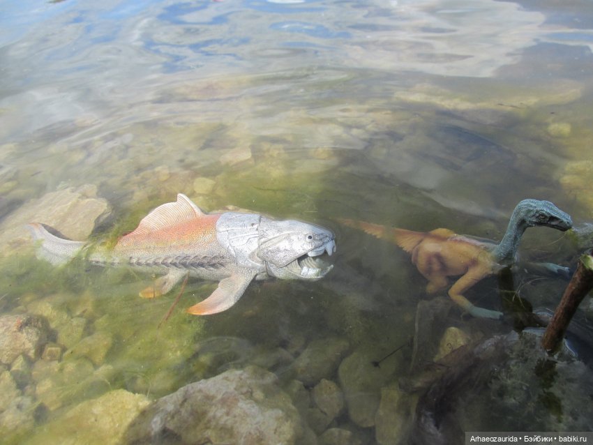 Ящеры у реки: речные ловушки (фото 8)