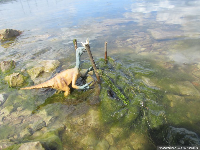 Ящеры у реки: речные ловушки (фото 4)
