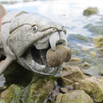 Ящеры у реки: речные ловушки