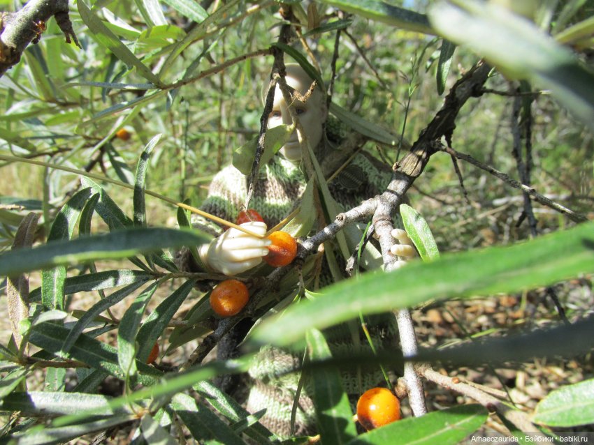 Кейнес и Холмы: дом Кейнеса