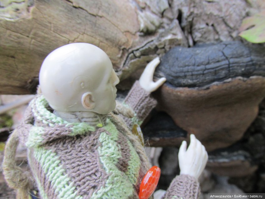 Кейнес и Холмы: дом Кейнеса (фото 7)