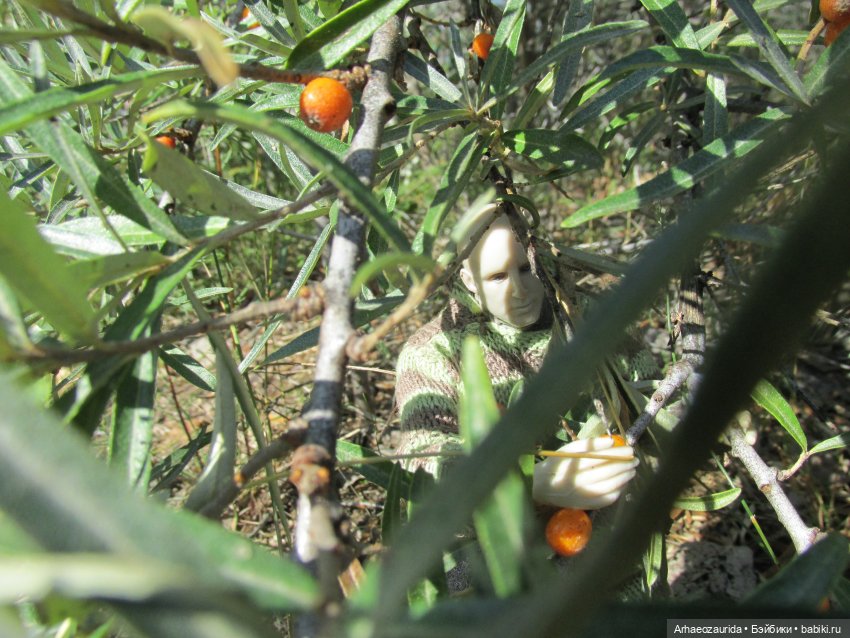 Кейнес и Холмы: дом Кейнеса (фото 2)