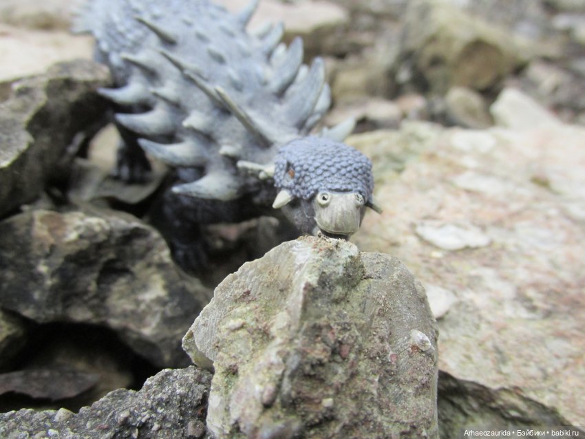 Ящеры в Холмах: камни и трава (фото 9)