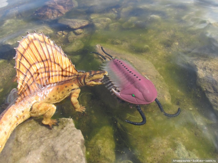 Диметродон: река сегодня странная