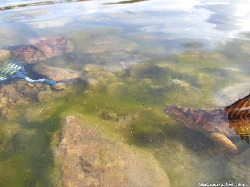 Диметродон: река сегодня странная