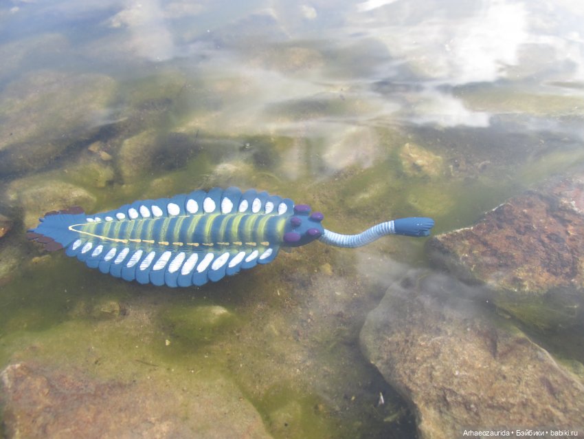 Диметродон: река сегодня странная