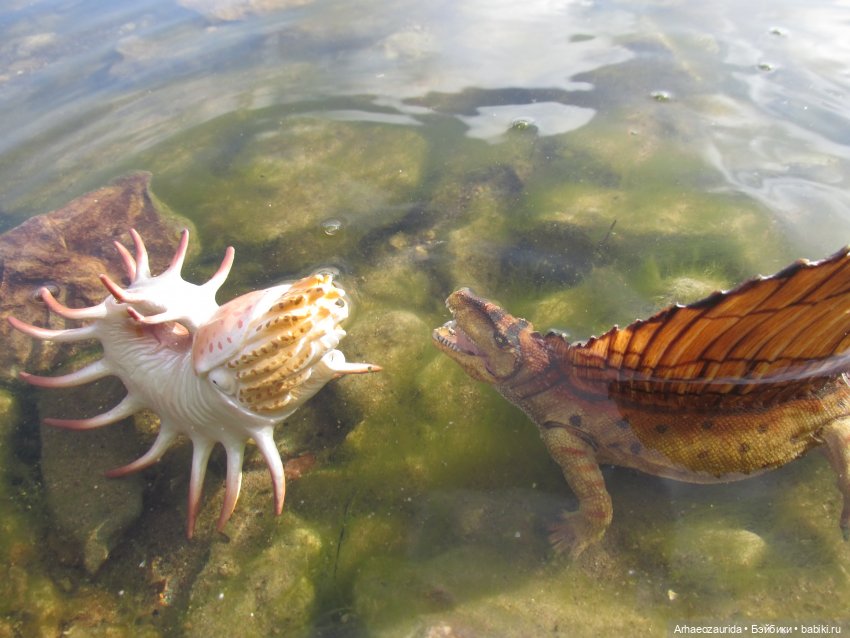 Диметродон: река сегодня странная (фото 9)