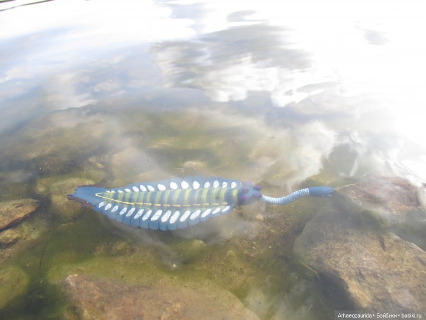 Диметродон: река сегодня странная