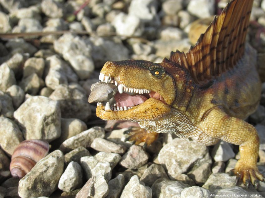 Диметродон: река сегодня странная