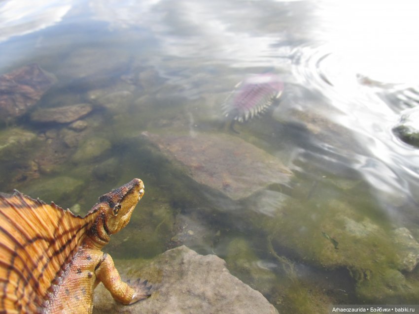 Диметродон: река сегодня странная
