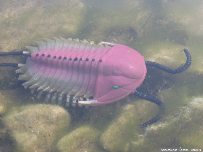 Диметродон: река сегодня странная
