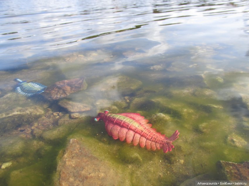 Диметродон: река сегодня странная