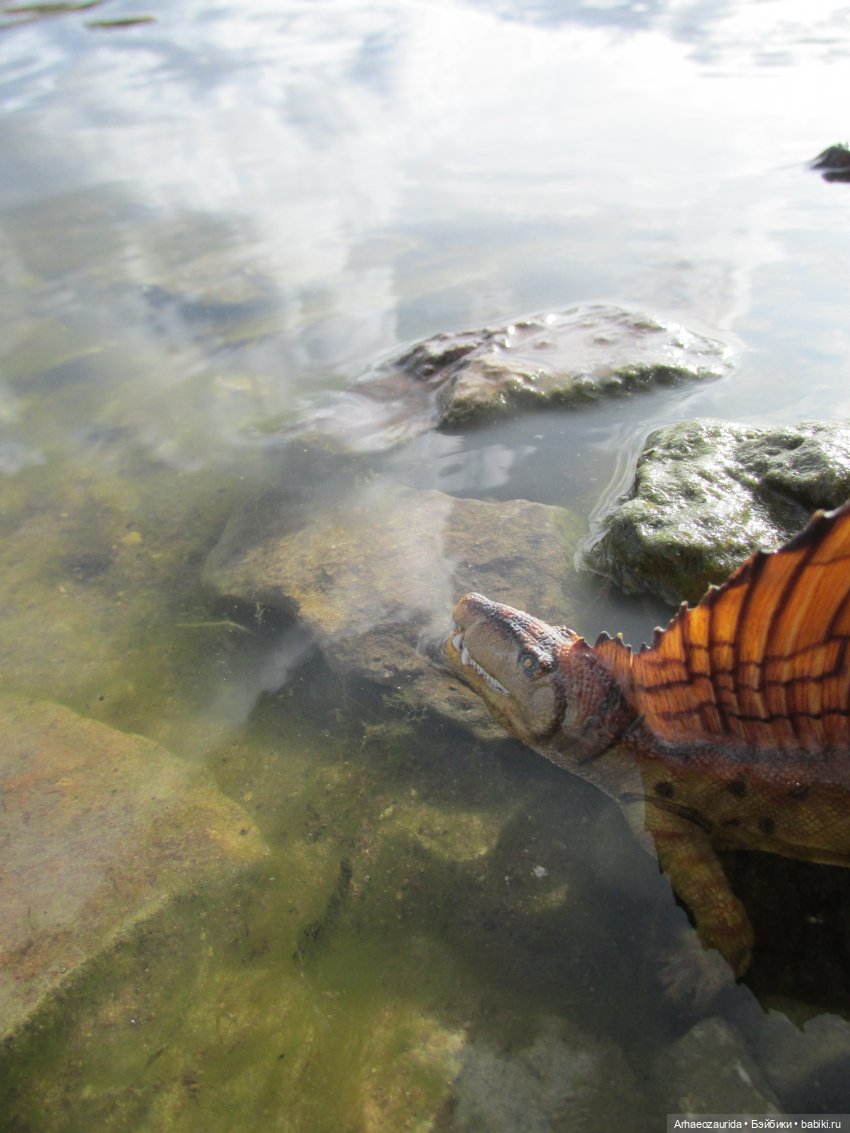 Диметродон: река сегодня странная (фото 2)