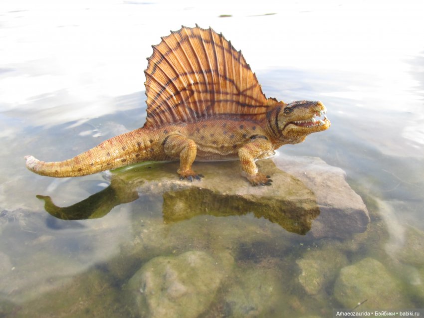 Диметродон: река сегодня странная