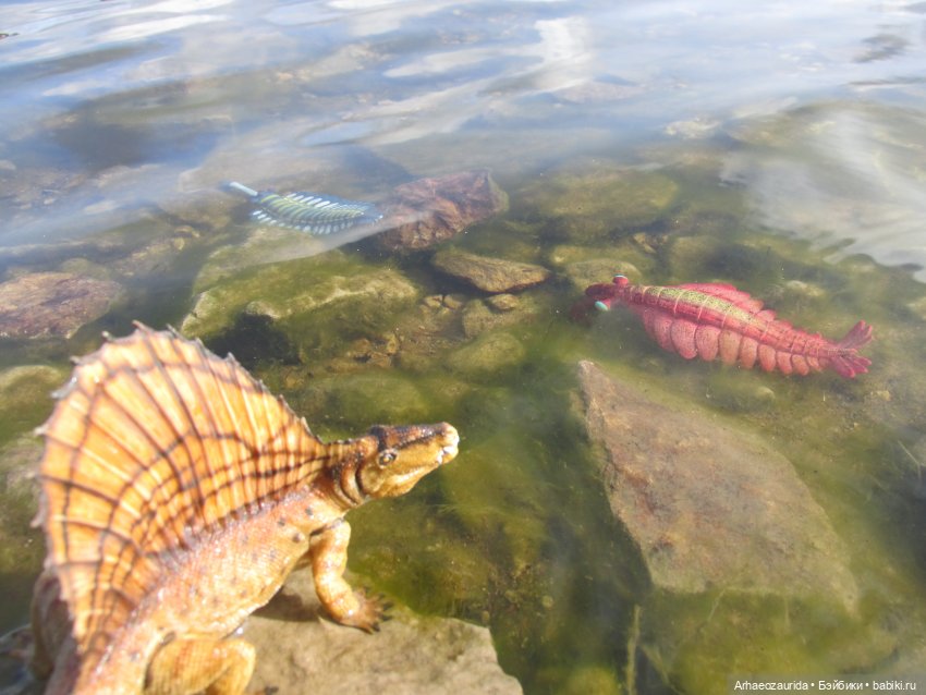 Диметродон: река сегодня странная