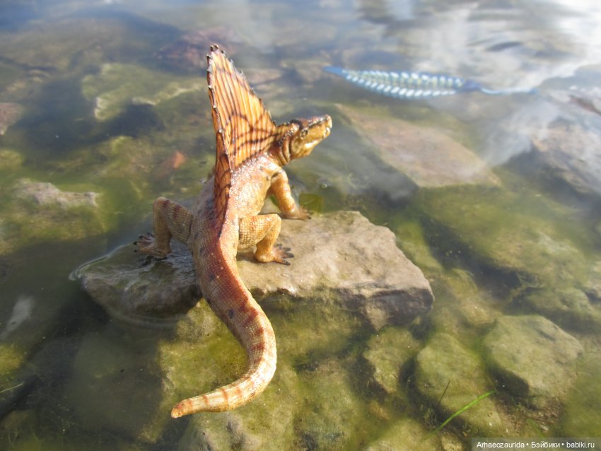 Диметродон: река сегодня странная