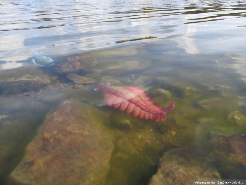 Диметродон: река сегодня странная