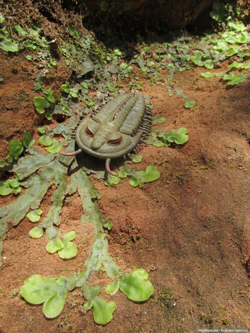 Трилобиты у Красной реки — Интересные игрушки и фигурки (разное): редкие (фото 6)