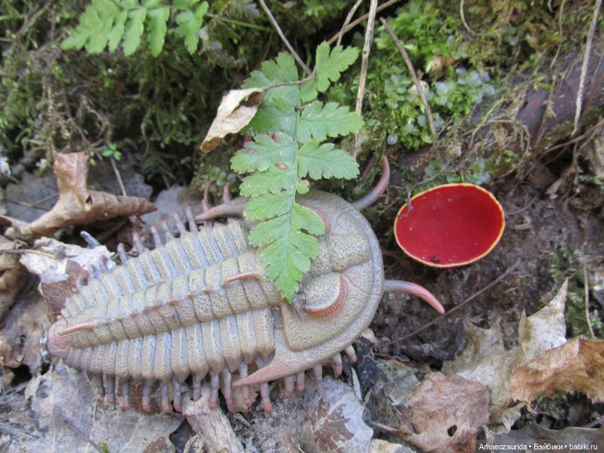 Трилобиты у Красной реки — Интересные игрушки и фигурки (разное): редкие (фото 3)