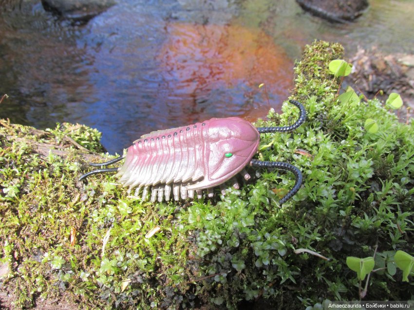 Трилобиты у Красной реки — Интересные игрушки и фигурки (разное): редкие (фото 5)