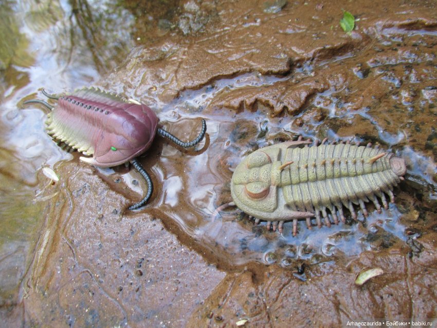 Трилобиты у Красной реки — Интересные игрушки и фигурки (разное): редкие (фото 8)